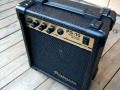 ������&�١�������� PG10 ��GUITARBASS�����PG-10��