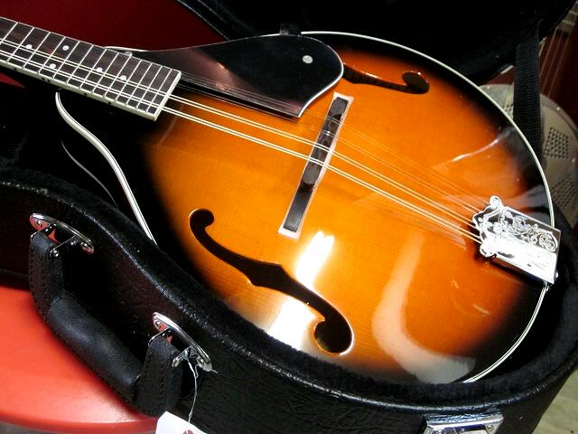 ARIA Mandolin AM-20 マイク搭載 ハードケース付き 【 アンプに繋げる 