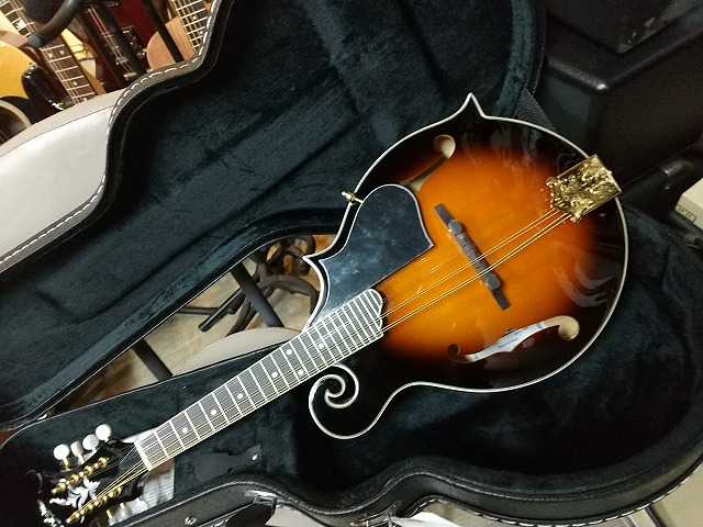 Aria AM-40 Mandolin マイク搭載!! アンプに繋げる アリア マンドリン ...