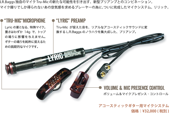 L.R.Baggs Lyric 取付無料アコースティックギター用マイク　アコギピックアップ リリック