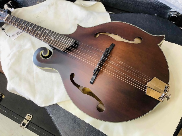 Eastman マンドリン md-315 ケース　スタンド　レザーストラップ付き Eastman MD-315 with PU アンプに繋げる マンドリン イーストマン